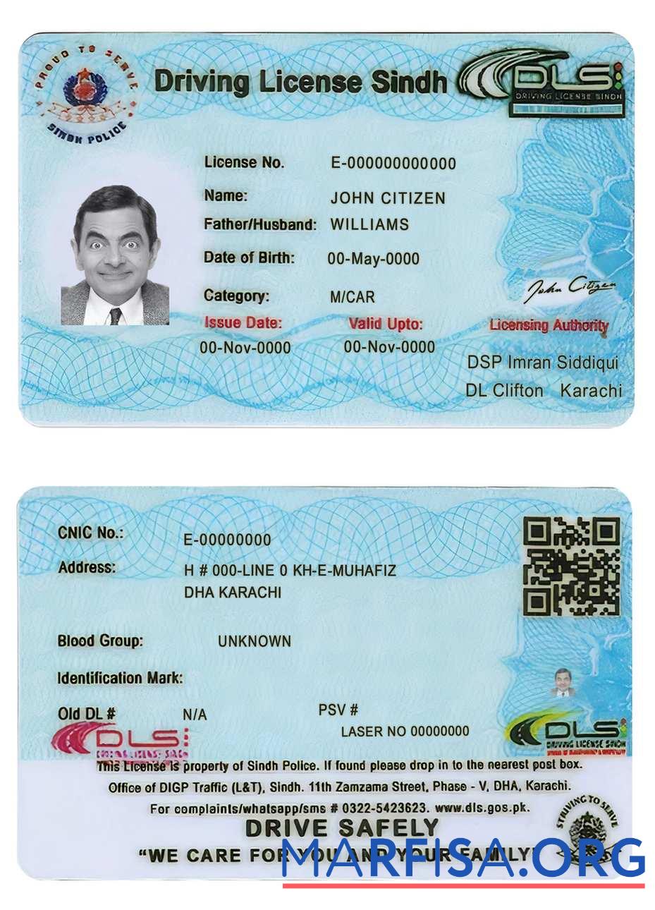 Realistic Pakistan Sindh province driving license (2016 present) sample